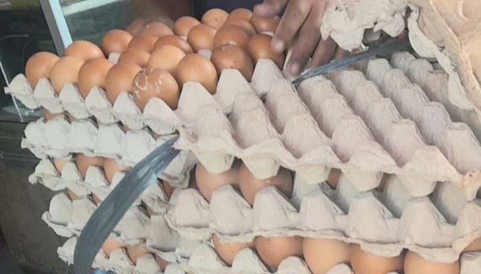 Harga Telur di Aundonohu Melonjak, Kenaikan Rp9.000 per Rak