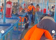 Kapal Rute Wanci – Kendari Kandas di Perairan Wawonii, 97 Penumpang Menunggu Bantuan SAR 