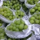 Anggur Muscat , Bahan Kimia Berbahaya