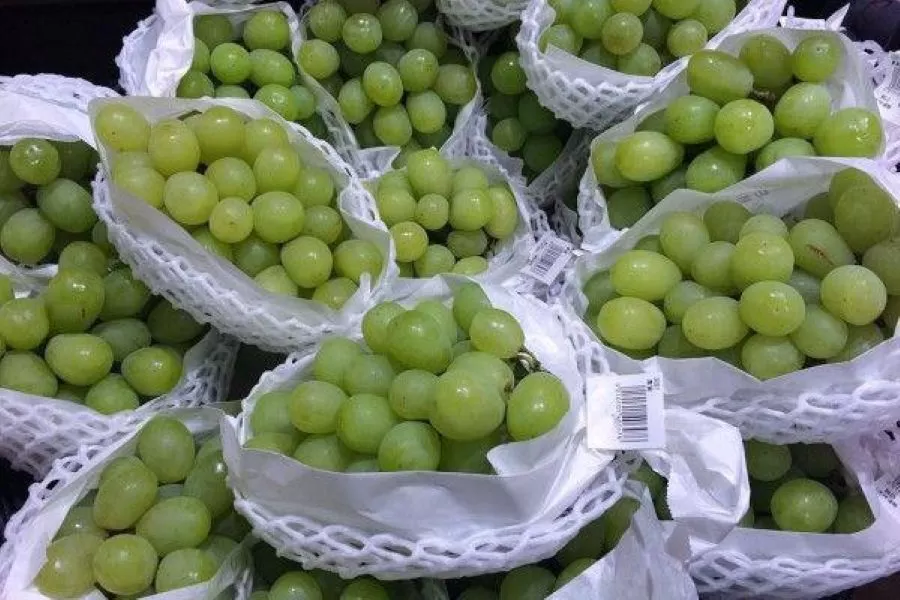 Anggur Muscat , Bahan Kimia Berbahaya