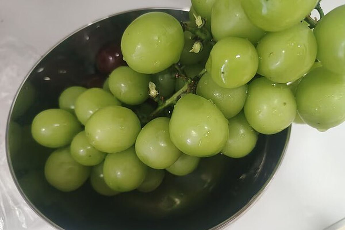 anggur Shine Muscat