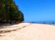 Viral Dugaan Aksi Pungli di Pantai Toronipa, Pemprov Sultra Diminta Benahi Tata Kelola Pariwisata