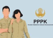 PPPK 2024 Hapus Sistem Passing Grade, Ini Syarat Kelulusan!