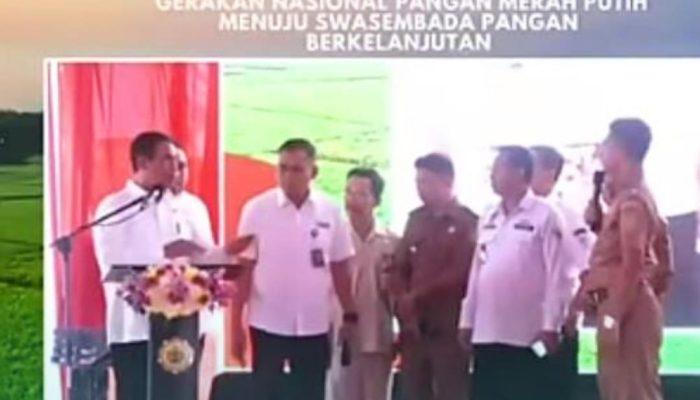 Kronologi Mentan Pecat Pejabat Usai Kades Marobea Mubar Curhat Soal Distribusi Pupuk