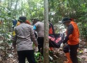 Warga Konawe Ditemukan Tewas Tergantung di Atas Pohon 