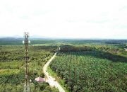 Perkuat Jaringan 4G di Makassar & Kendari, Telkomsel Hyper AI Adopsi Teknologi Self-Adaptive Feedback