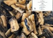 Melihat Proses Pembuatan Kabuto, Kuliner Khas Suku Muna yang Masuk ‘Warisan Budaya Tak Benda’