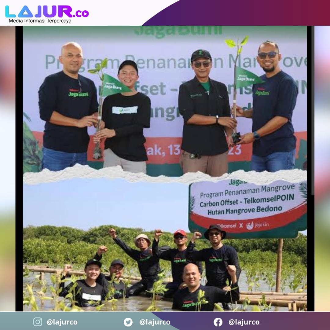 Aksi penanaman mangrove di Demak hasil  donasi poin pelanggan Telkomsel di aplikasi MyTelkomsel.