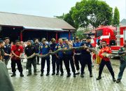 Damkar Kendari Serahkan Dua Ekor Ular Raksasa ke BKSDA Sultra
