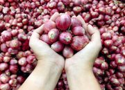Inflasi November 2024 Diproyeksi Meningkat Imbas Kenaikan Harga Bawang Merah