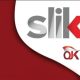 Sistem Layanan Informasi Keuangan, ojk
