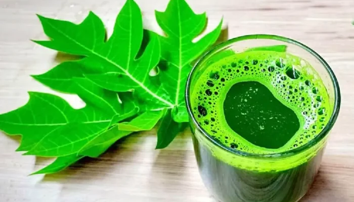 Lupakan Rasa Pahitnya, Ini 6 Manfaat Luar Biasa Daun Pepaya