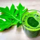 Daun pepaya