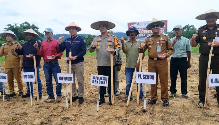 Sukseskan Program Nasional, Pemkot Kendari Aksi Tanam Jagung Serentak 1 Juta Hektar