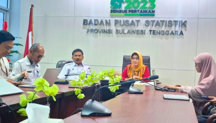 Ekonomi Sultra Kuartal IV 2024: Tumbuh 5,40 Persen, Lebih Tinggi Dari Nasional