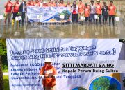 Kolaborasi Perum Bulog, Langkoe Diving Club & UHO: Tebar 1.000 Bibit Mangrove di Tapulaga