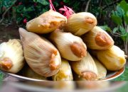 ‘Katumbu Gola’ Kuliner Otentik Pulau Muna Berbahan Jagung Muda, Muncul di Musim Panen
