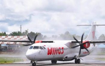 Wings Air