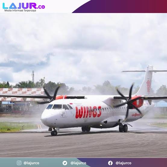 Wings Air