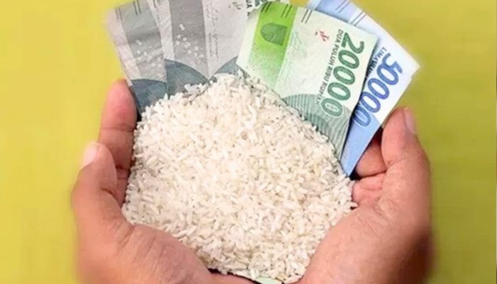 Besaran Zakat Fitrah di Mubar Tahun 1446 Hijriyah, Beras Premium Rp38 Ribu per Jiwa, Jagung Cuma Rp13 Ribu per Jiwa