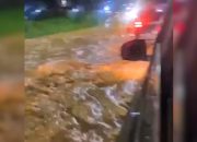 Hujan Deras Guyur Kota Kendari, Jalanan Depan RS Hati Mulia Diterjang Banjir