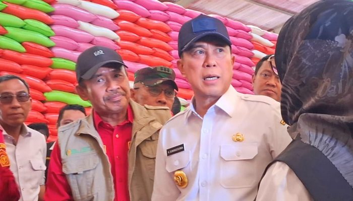 Andi Sumangerukka Sebut Punya Strategi Biar Padi Lokal Tidak Bocor ke Luar Sultra