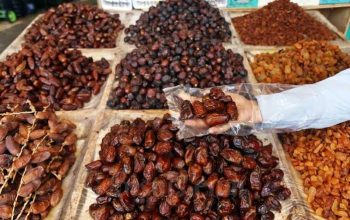 Kurma