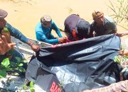 Pencari Kerang ‘Pokea’ yang Diterkam Buaya Ditemukan Meninggal Dunia