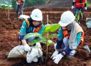 Peringati Hari Bumi, PT Vale Reklamasi Awal 6,2 Hektar Lahan