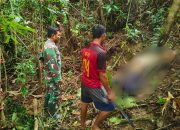 Jenazah Guru SMP Ditemukan Setelah 5 Hari Hilang di Hutan Lakansai, Buton Utara