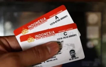 Surat Izin Mengemudi (SIM). Foto: Ist