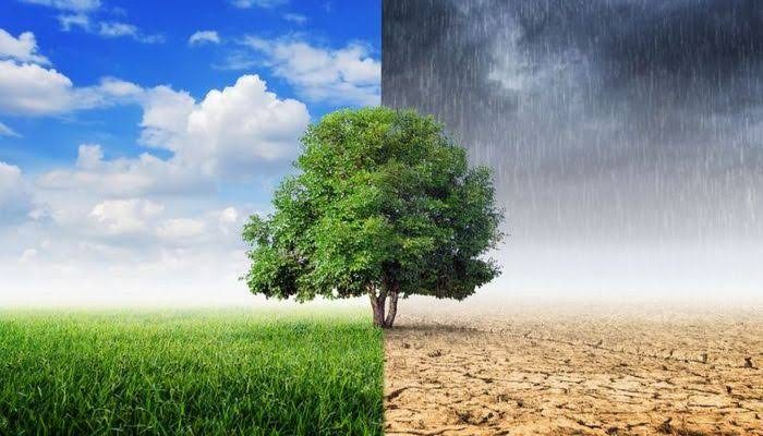 Prediksi Cuaca Sepekan ke Depan: Cuaca Ekstrem Bayangi Masa Pancaroba