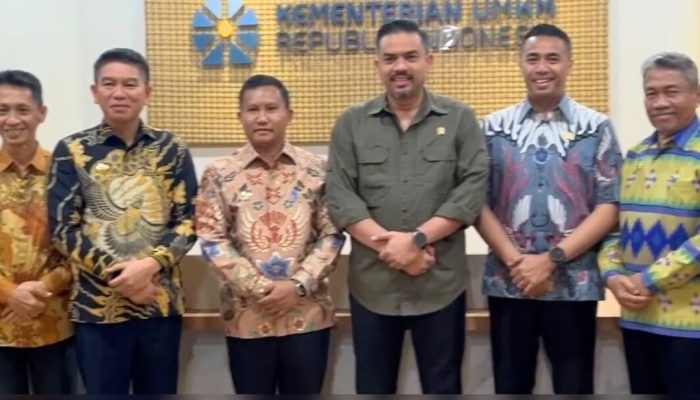 HIPMI Apresiasi Inisiasi Menteri UMKM, Gaet 7 Kabupaten di Sultra Perkuat Peran UMKM Lokal