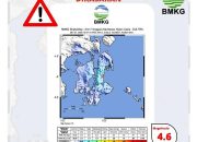 Gempa Bumi Magnitudo 4,6 Berpusat di Buton Utara, Getaran Terasa Hingga Muna dan Busel