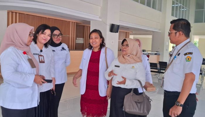 Plt Kadis Kesehatan Tinjau RSJPDO Oputa Yi Koo Jelang Uji Coba Bedah Pembuluh Darah Otak Perdana