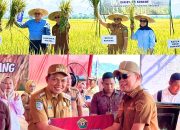 Gubernur ASR Usul ke Menteri Jadikan Konawe Cluster Utama Pertanian Nasional