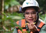 Rektor Unhas: Green Mining PT Vale Jadi Pusat Vokasi Hilirisasi Indonesia Timur