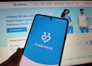 Terindikasi Judol, Kementerian Komdigi Blokir Situs PeduliLindungi