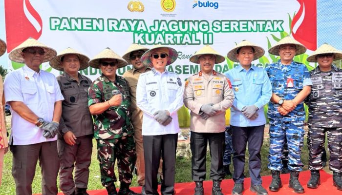 Panen Raya Jagung di Konsel: Sinergi Pemprov Sultra – Polda Sukseskan Program Swasembada Pangan