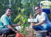 Aksi Nyata PT Vale Indonesia di Hari Lingkungan Hidup: Perangi Sampah Plastik, Hijaukan IGP Pomalaa