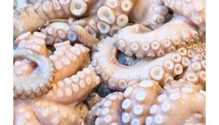 Gurita Beku & Daging Kepiting Asal Sultra Tembus Pasar AS & Thailand