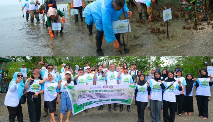 Semangat Keberlanjutan, DAAZ Group Tanam 5000 Bibit Mangrove di Pesisir Pantai Wawolesea