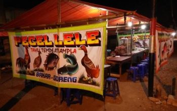 UU Tipikor, Pecel Lele , Korupsi