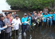 Hari Mangrove Sedunia, PT Vale Tanam 2.000 Mangrove, Restorasi Terumbu Karang Ekosistem Pesisir Malili