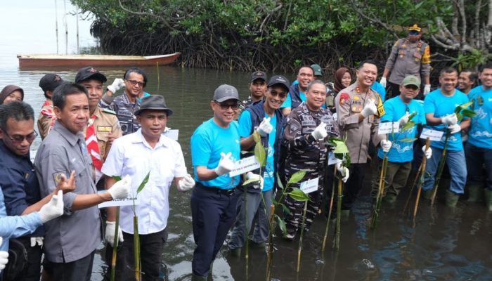 Hari Mangrove Sedunia, PT Vale Tanam 2.000 Mangrove, Restorasi Terumbu Karang Ekosistem Pesisir Malili