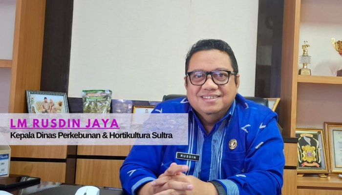 Sempat Tembus Jutaan, Harga Minyak Nilam di Sultra Terjun Bebas Rp600 Ribuan