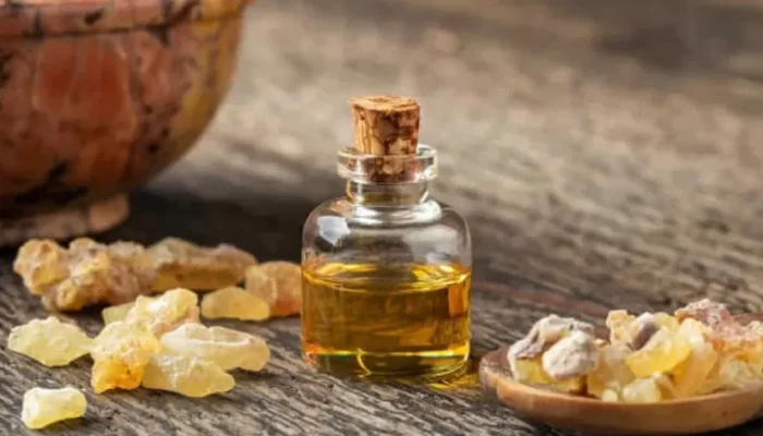 Kemenyan Tak Melulu Mistis, Dokter Herbal Ungkap Manfaatnya untuk Medis