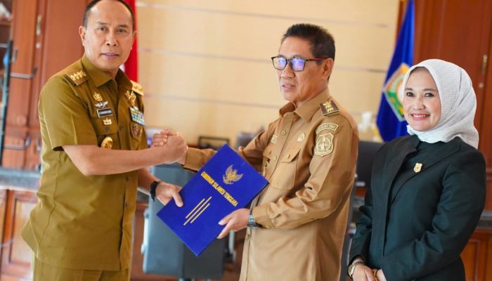 Gubernur Sultra Serahkan Surat Tugas Plt Bupati Koltim ke Yosep Sahaka