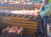 Mengunjungi Segregation Plant Unit PT Vale Sorowako: Rumah Daur Ulang Sampah Menuju Target Zero Waste