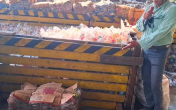 Kandang budidaya maggot di fasilitas Segregation Unit Plat PT Vale Indonesia Sorowako.